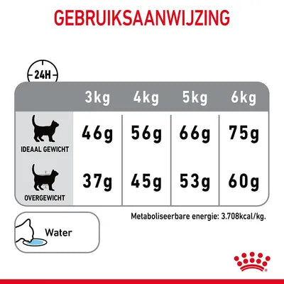 Royal Canin Dental Care voedingsadvies kat