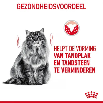 Royal Canin Dental Care gezondheidsvoordeel tandplak en tandsteen