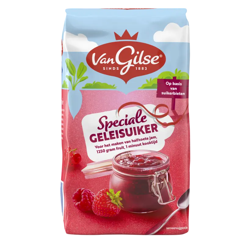 Van Gilse Geleisuiker speciaal 500 g
